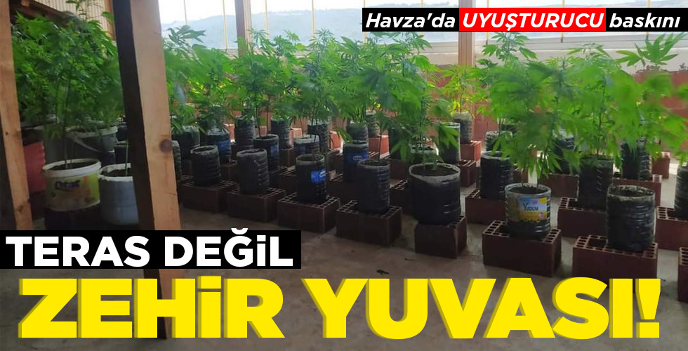 TERAS DEĞİL  ZEHİR YUVASI!
