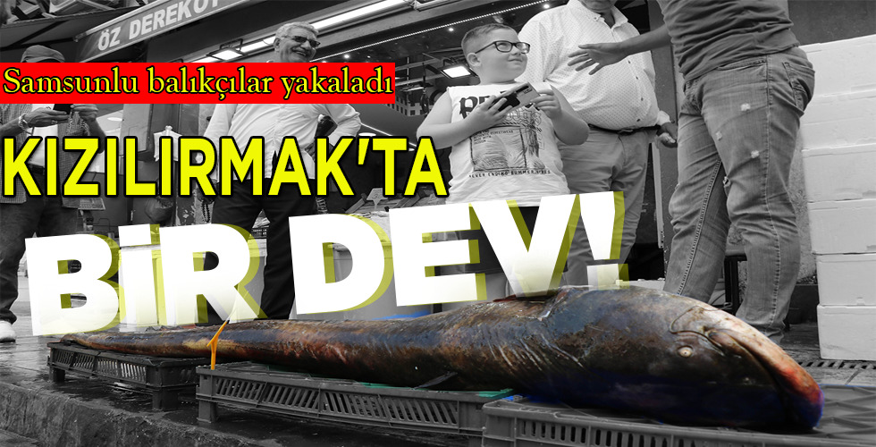 KIZILIRMAK’TA BİR DEV!