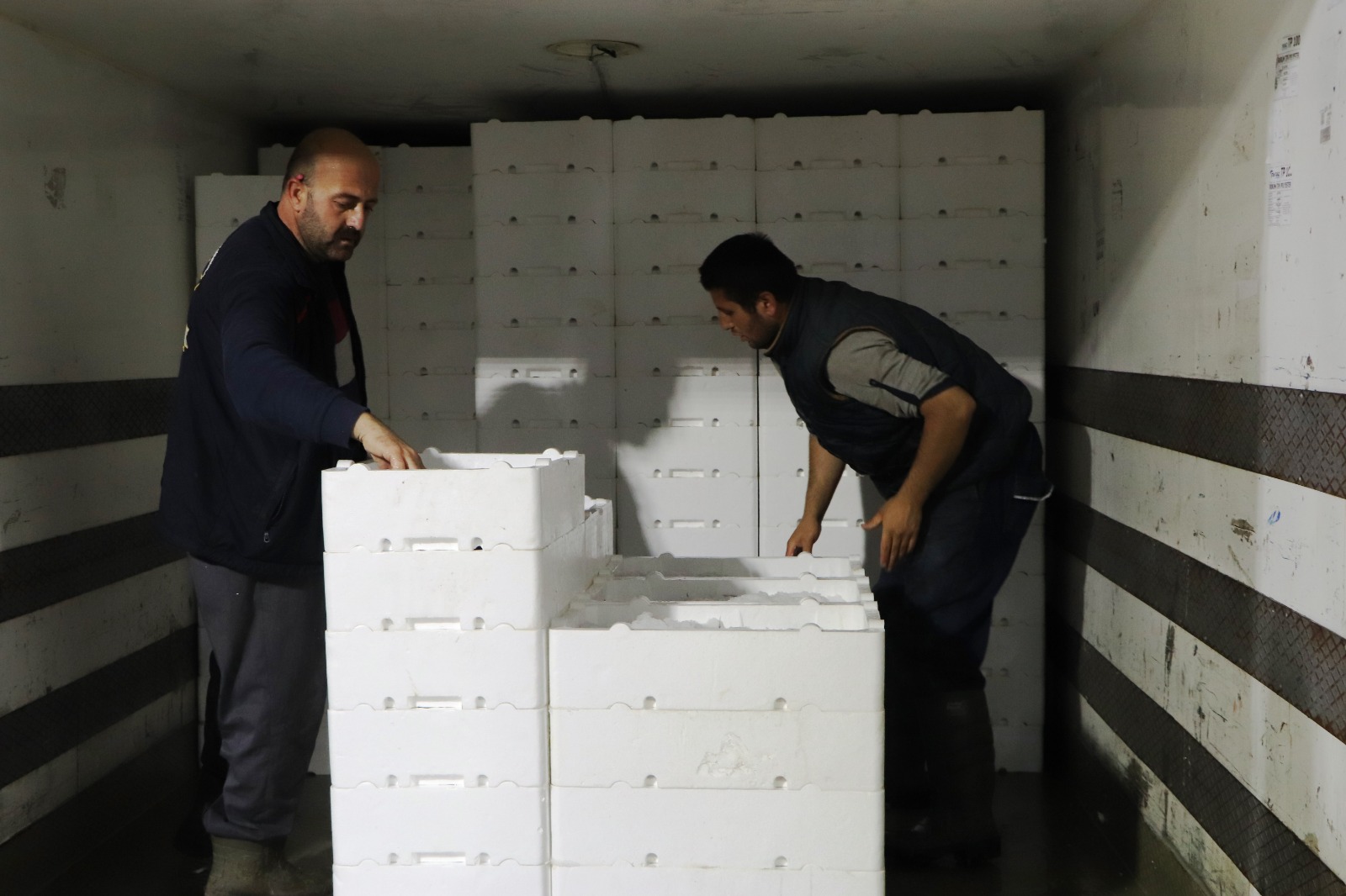  Samsun'da balık halinde gece 03.00'te yapılan mezatta kasalar dolusu palamut kapış kapış satıldı