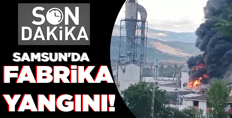 Samsun’un Vezirköprü İlçesi'nde orman ürünleri fabrikasında yangın meydana geldi. Alevlerin göğe yükseldiği yangında söndürme çalışması başlatıldı