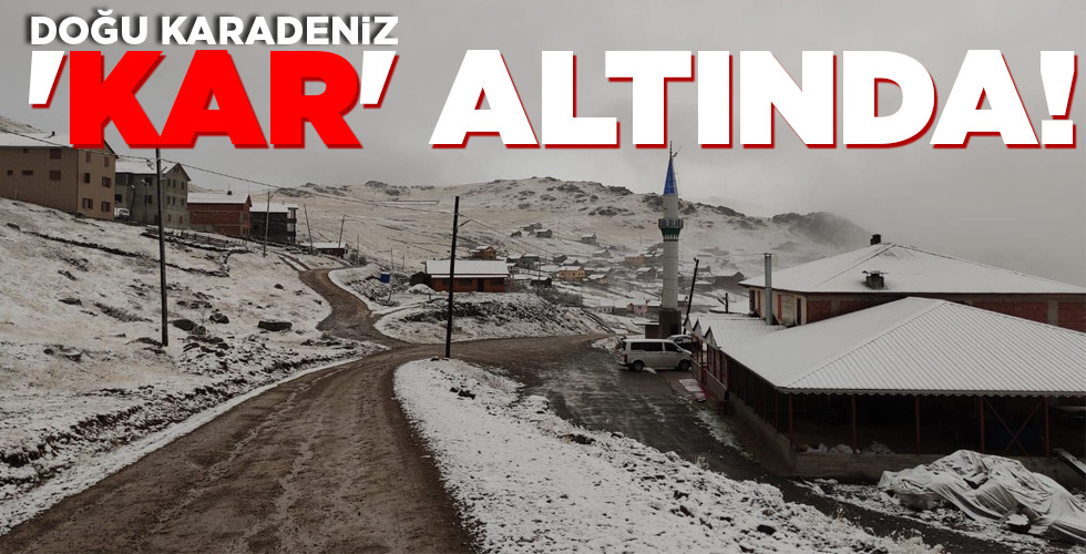 DOĞU KARADENİZ ‘KAR’ ALTINDA!