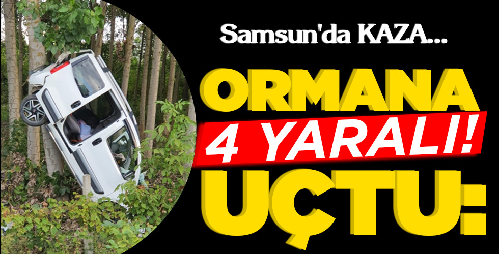 ORMANA UÇTU: 4 YARALI!