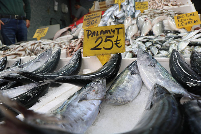  Karadeniz'de son yılların en bol balık av sezonu yaşanırken, Samsun'da tezgahlar palamut ve çinekopla doldu
