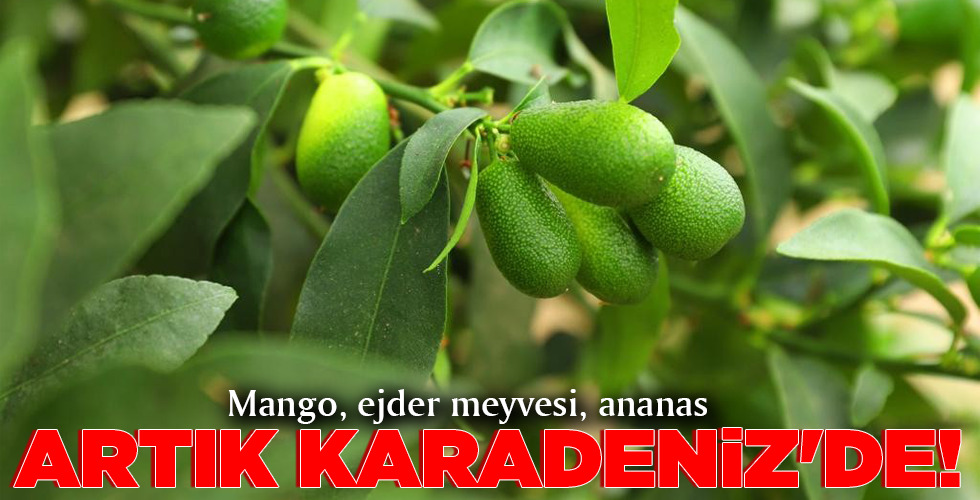 ARTIK KARADENİZ’DE!