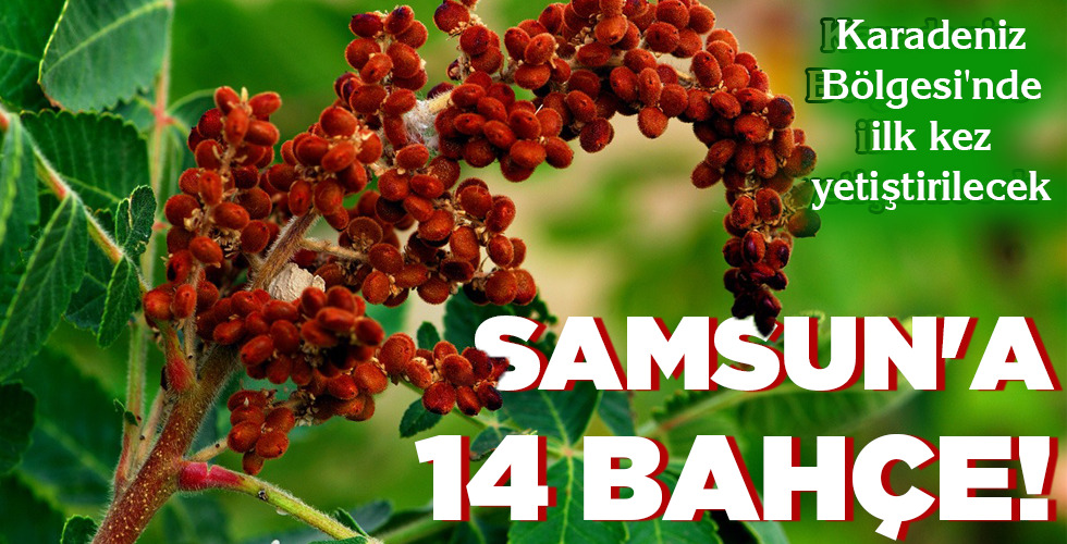 SAMSUN’A 14 BAHÇE!