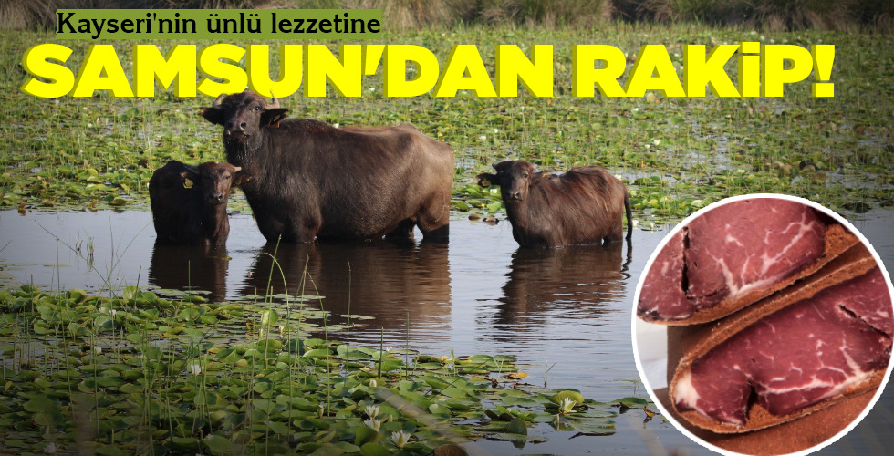 SAMSUN’DAN RAKİP!
