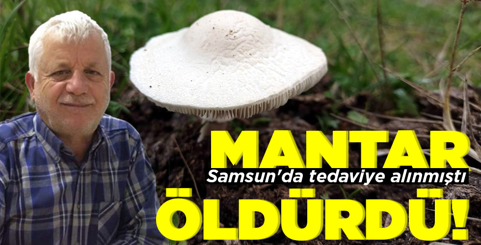 MANTAR ÖLDÜRDÜ!