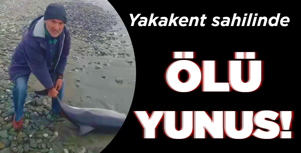 ÖLÜ YUNUS!