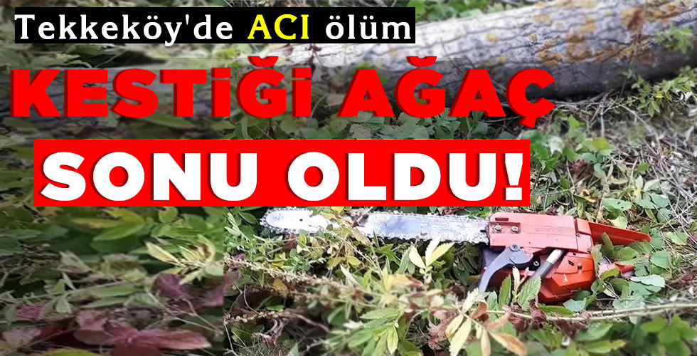 KESTİĞİ AĞAÇ SONU OLDU!