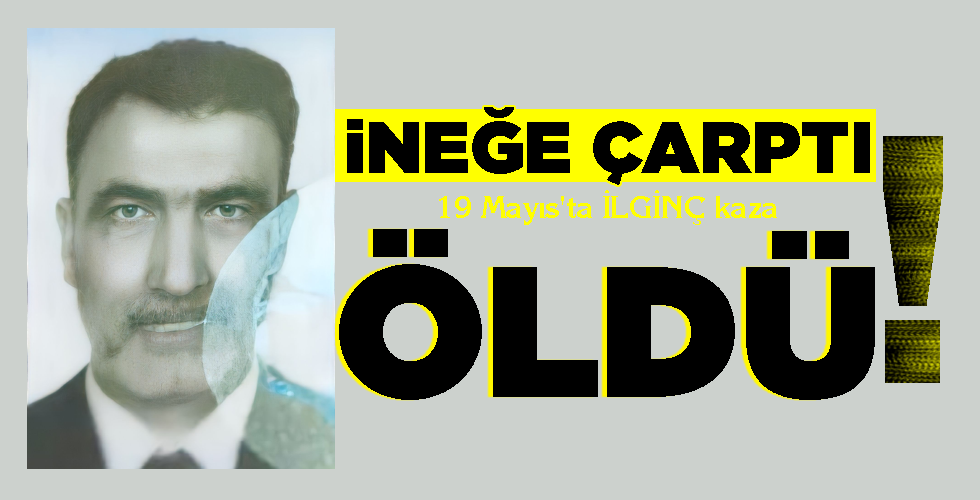 İNEĞE ÇARPTI, ÖLDÜ!