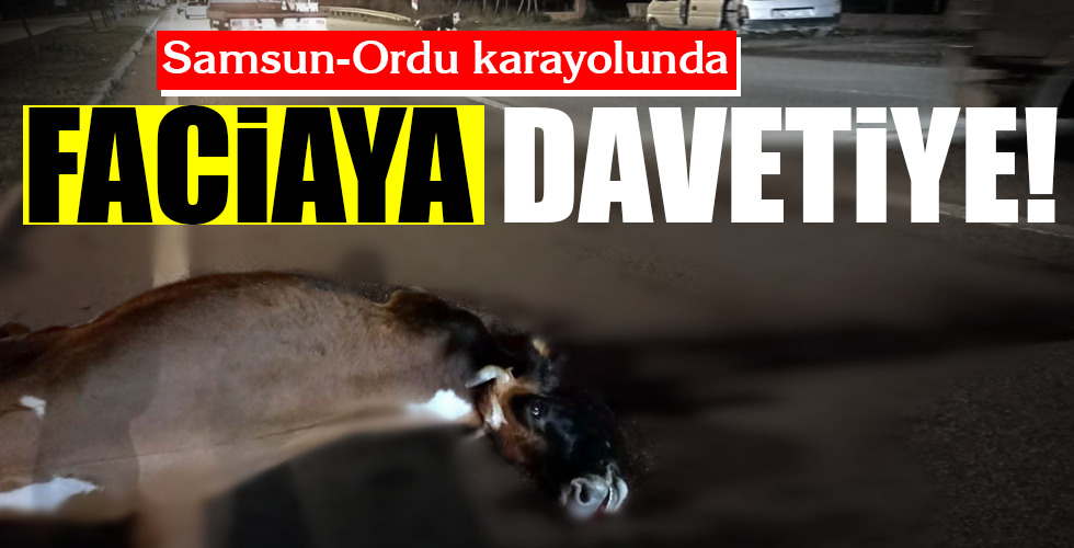 FACİAYA DAVETİYE!