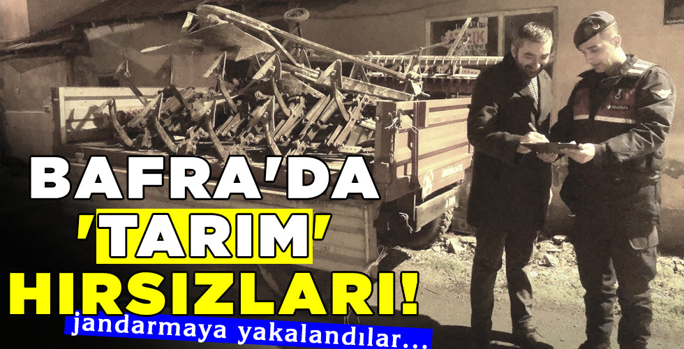 BAFRA’DA ‘TARIM’ HIRSIZLARI!