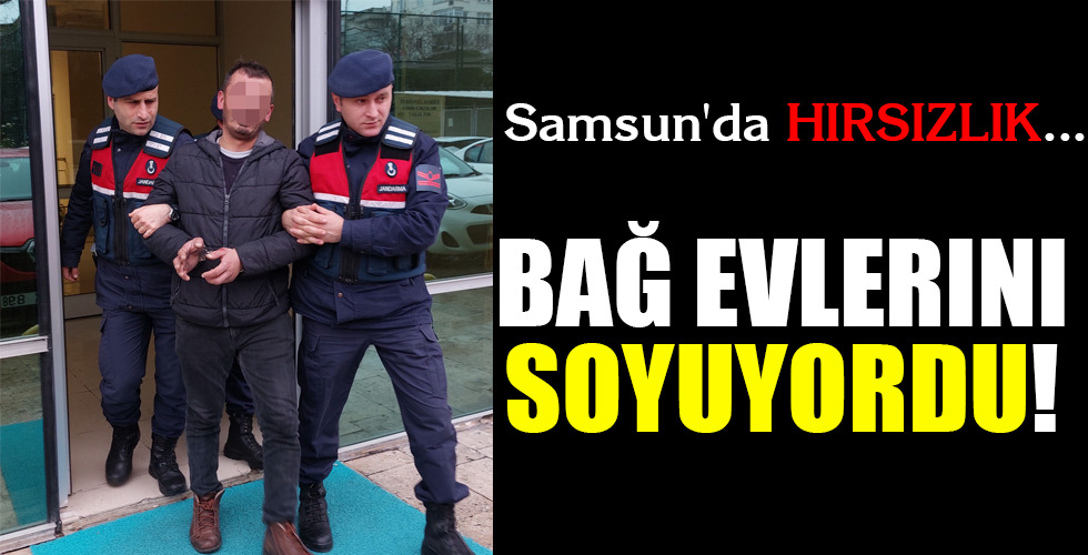 BAĞ EVLERİNİ SOYUYORDU!