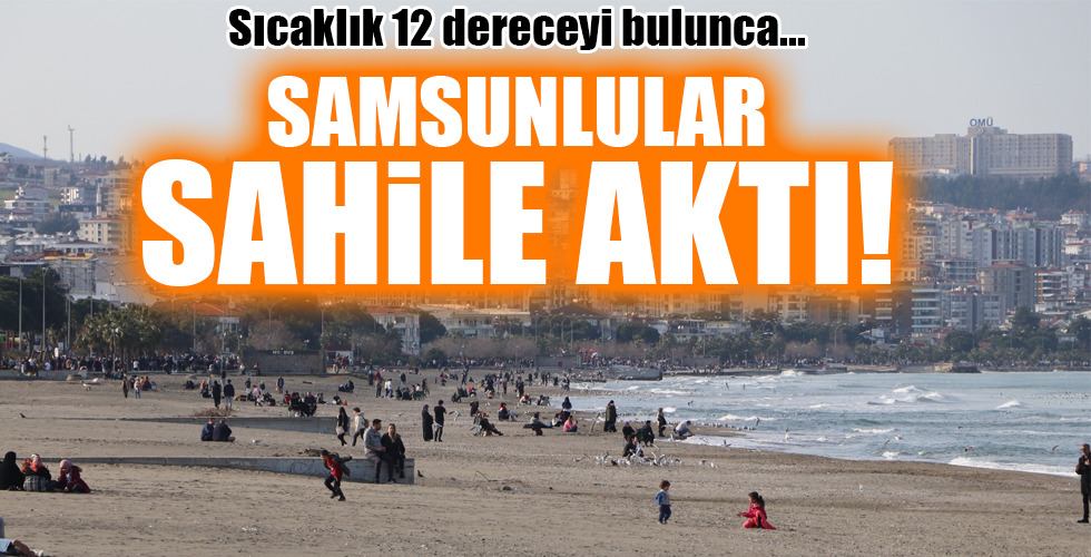 SAMSUNLULAR SAHİLE AKTI!