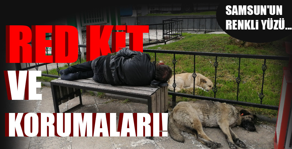 RED KİT VE KORUMALARI!