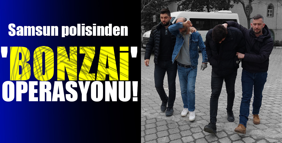 Samsun polisinden ‘BONZAİ’ OPERASYONU!