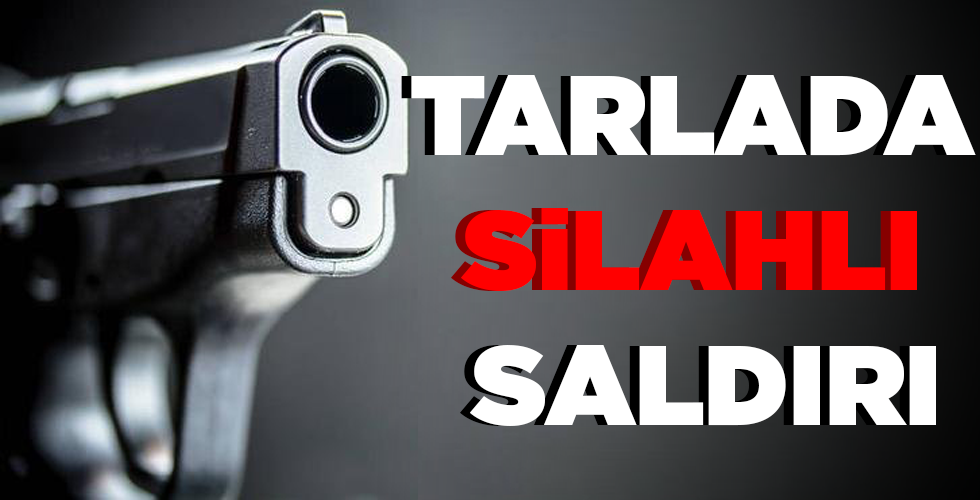 TARLADA SİLAHLI SALDIRI