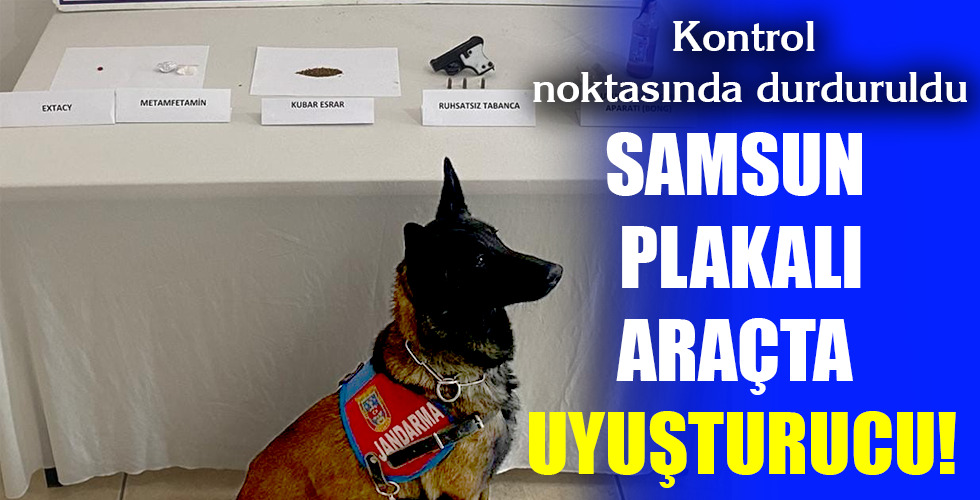 SAMSUN PLAKALI ARAÇTA UYUŞTURUCU!