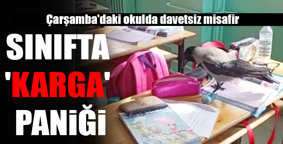 SINIFTA ‘KARGA’ PANİĞİ