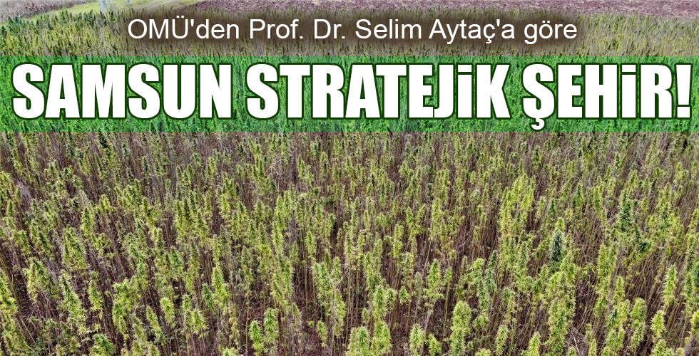 SAMSUN STRATEJİK ŞEHİR!
