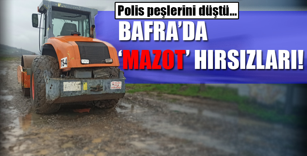 BAFRA’DA ‘MAZOT’ HIRSIZLARI!