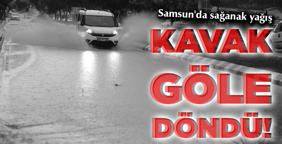 KAVAK