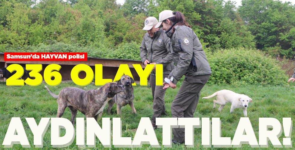 236 OLAYI AYDINLATTILAR!