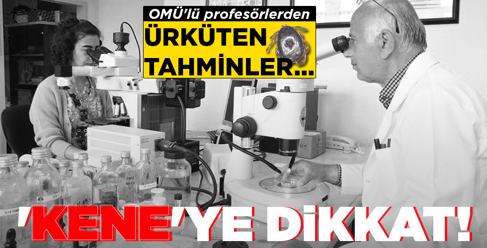 ‘KENE’YE DİKKAT!