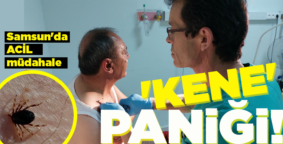 ‘KENE’ PANİĞİ!