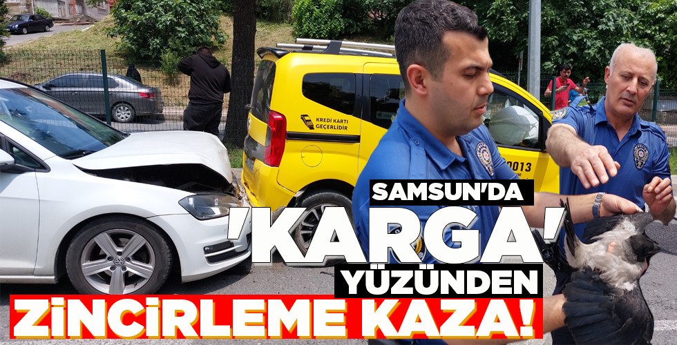 ‘KARGA’ YÜZÜNDEN ZİNCİRLEME KAZA!