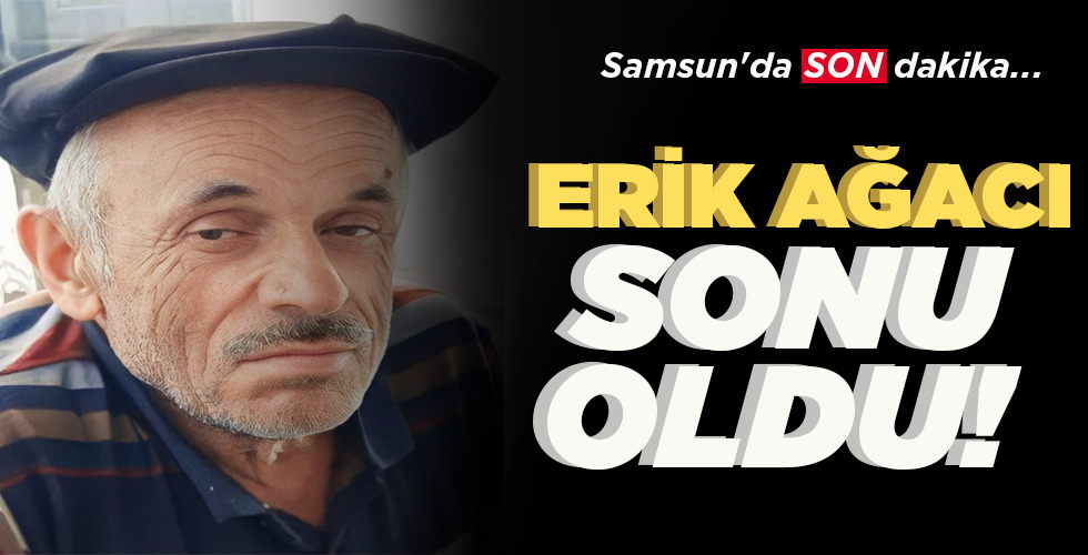 SAMSUN’DA SON DAKİKA…  ERİK AĞACI  SONU OLDU!
