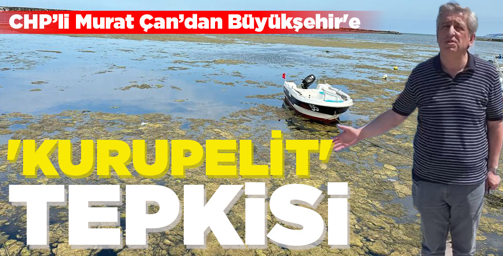 ‘KURUPELİT’ TEPKİSİ