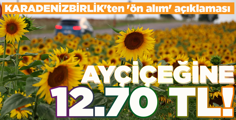 AYÇİÇEĞİNE 12.70 TL!