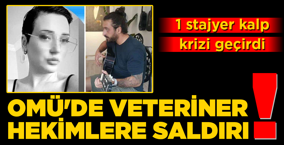 OMÜ’DE VETERİNER HEKİMLERE SALDIRI!