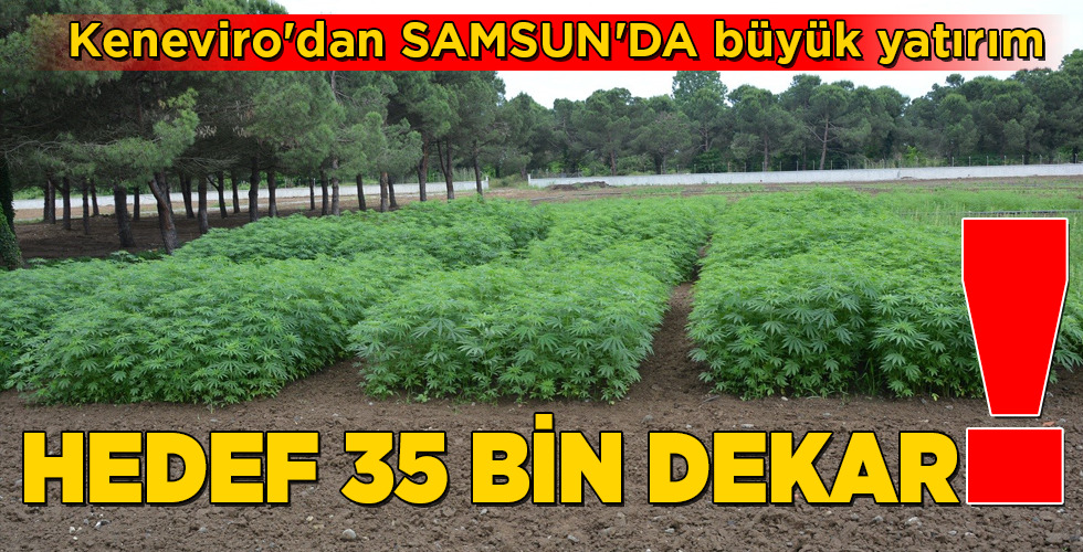 Keneviro’dan SAMSUN’DA büyük yatırım