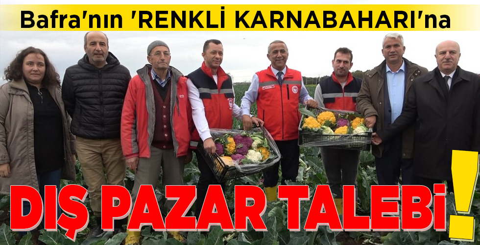 Bafra’nın ‘RENKLİ KARNABAHARI’na DIŞ PAZAR TALEBİ