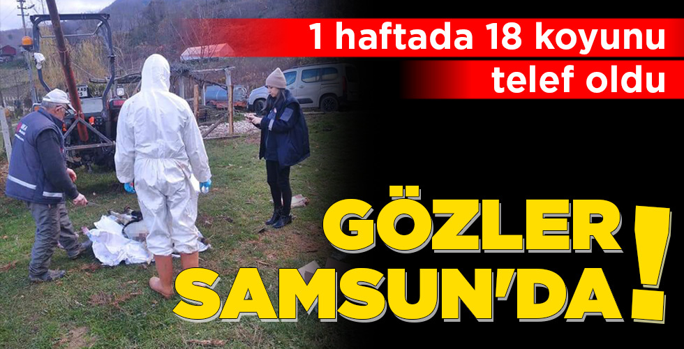 GÖZLER SAMSUN’DA!