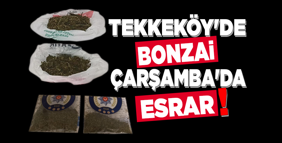 TEKKEKÖY’DE BONZAİ ÇARŞAMBA’DA ESRAR!
