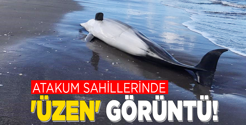 ATAKUM SAHİLLERİNDE ‘ÜZEN’ GÖRÜNTÜ!