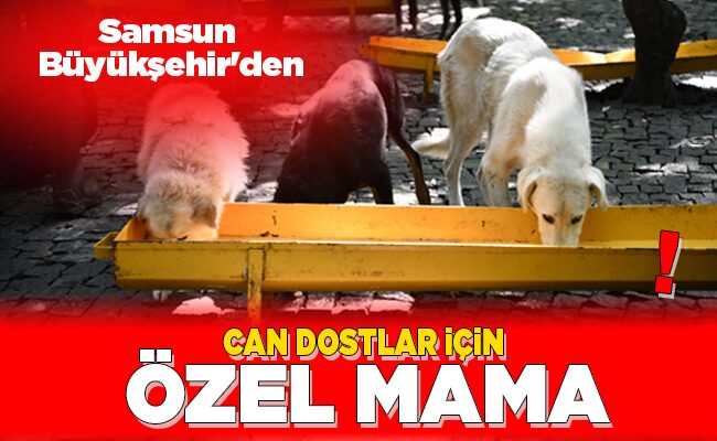 CAN DOSTLAR İÇİN ÖZEL MAMA!