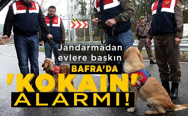 BAFRA’DA   ‘KOKAİN’   ALARMI!