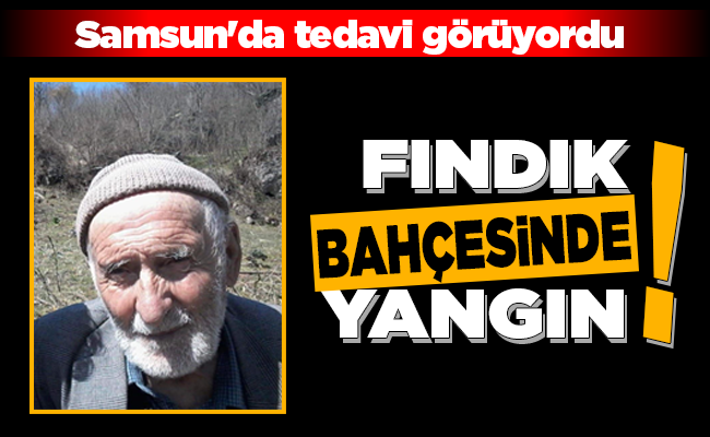 FINDIK BAHÇESİNDE YANGIN!