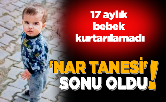 ‘NAR TANESİ’ SONU OLDU