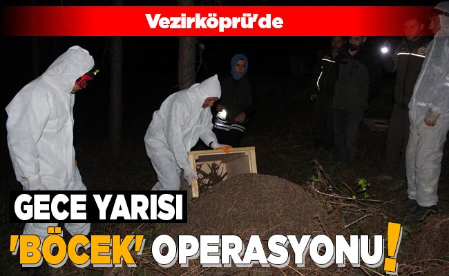 GECE YARISI ‘BÖCEK’ OPERASYONU!