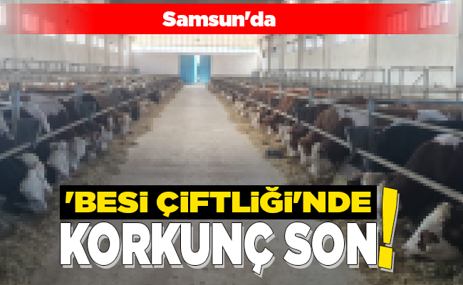 ‘BESİ ÇİFTLİĞİ’NDE KORKUNÇ SON!
