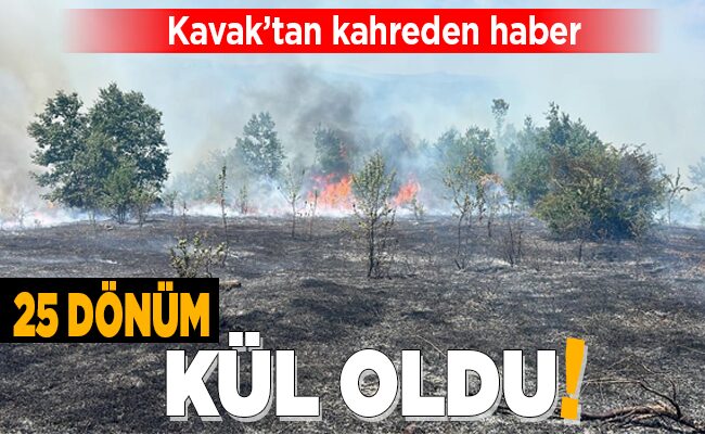 25 DÖNÜM KÜL OLDU!