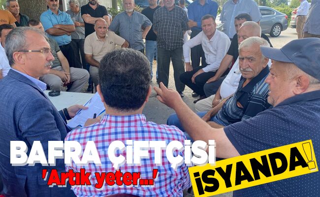 BAFRA ÇİFTÇİSİ İSYANDA!
