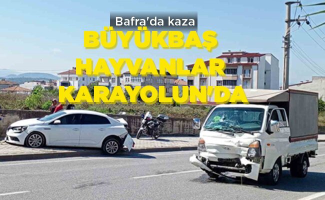 BÜYÜKBAŞ  HAYVANLAR  KARAYOLUN’DA