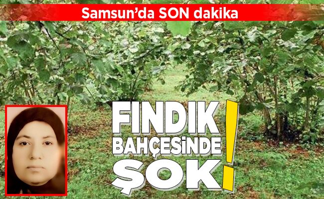 FINDIK BAHÇESİNDE ŞOK!