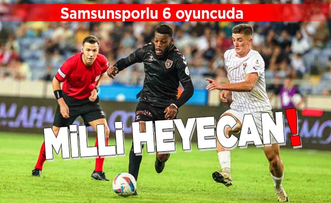 MİLLİ HEYECAN!